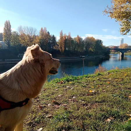 Panzió La Riva Del Po Indipendente Torino